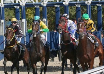 Guide To Horse Race Betting