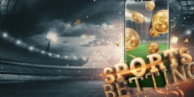 How Has Sports Betting Grown in Popularity?