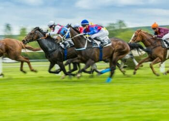 The 2022 Victors Hoping To Land Another Win At This Year’s Cheltenham Festival