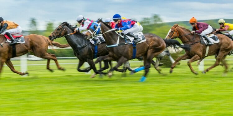 The 2022 Victors Hoping To Land Another Win At This Year’s Cheltenham Festival