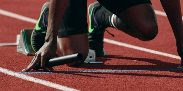 What are the Most Popular Sports in New Zealand
