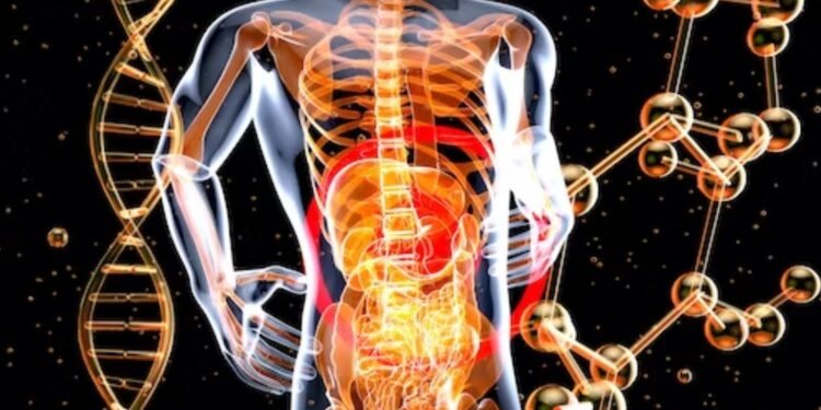 Untitled design (17)