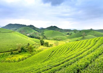 cuantos acres tiene una hectarea