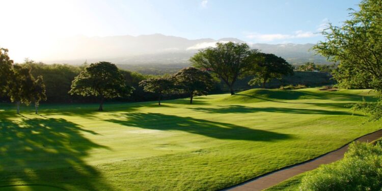 151st Open Championship: All You Need To Know About The Last Golf Major of 2023