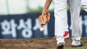 sportsfanfare baseball