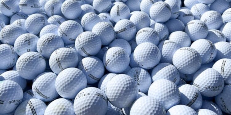 US Open Golf 2024: Can Scheffler Secure Another Major?