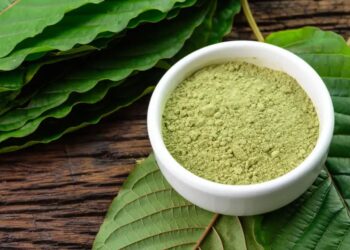 The Ultimate Guide to Kratom Extract Dosages
