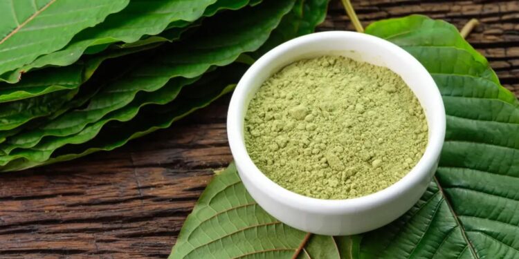 The Ultimate Guide to Kratom Extract Dosages