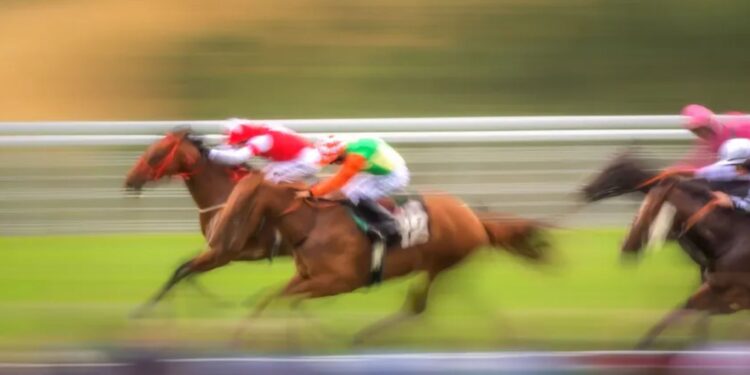 How to Read the Races: Key Stats and Trends at Churchill Downs