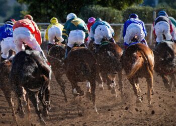 Preakness Stakes Odds: What to Know Before Race Day