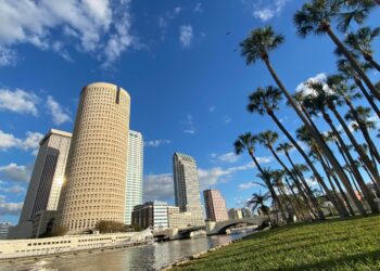 Why Choosing the Right Realtor in Tampa Makes All the Difference