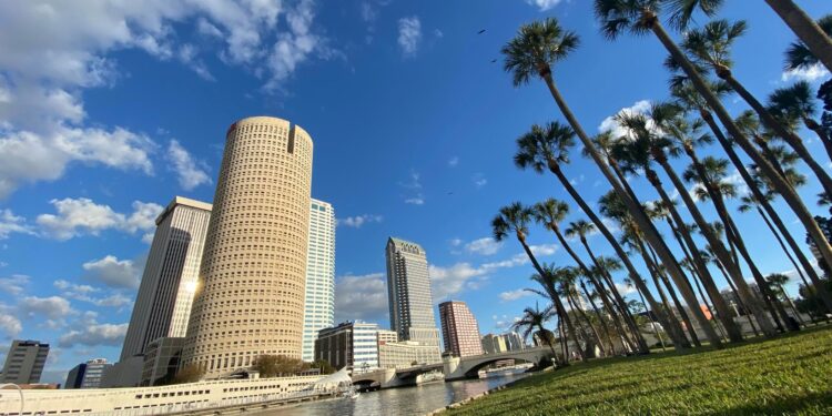 Why Choosing the Right Realtor in Tampa Makes All the Difference