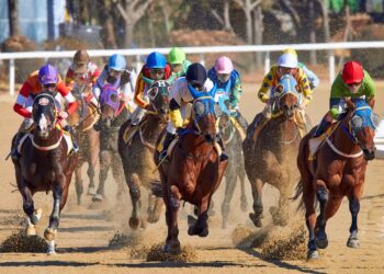 From Track to Screen: The Digital Edge of Horse Betting