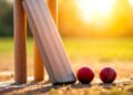 The Biggest Discoveries of the 2025 Cricket Season