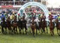 Which horses could run at the Cheltenham Festival and in the Grand National?
