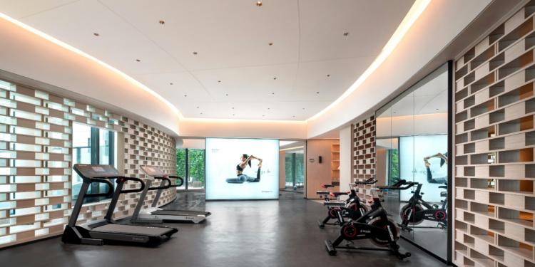Leading Commercial Fitness Equipment Providers for Professional Gyms