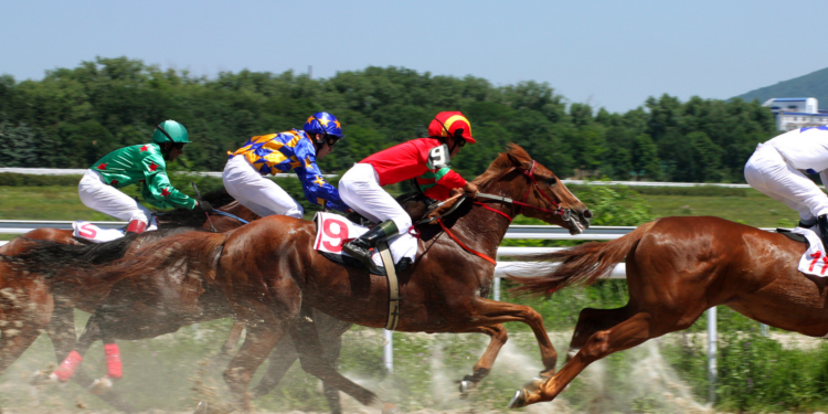The Growth of Horse Racing Betting Around the World