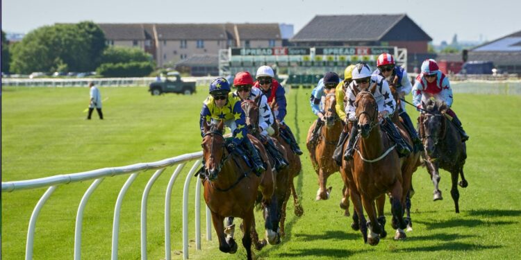 Guide to Keeping Up With the Latest Horse Races