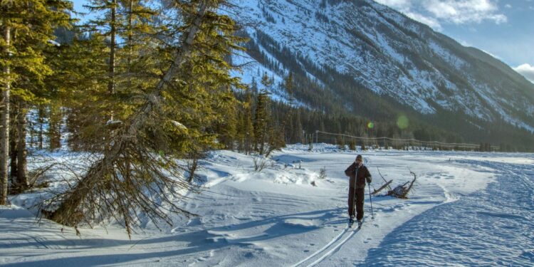 Cross-Country Skiing and Casino Strategy: Lessons from the Long Trail