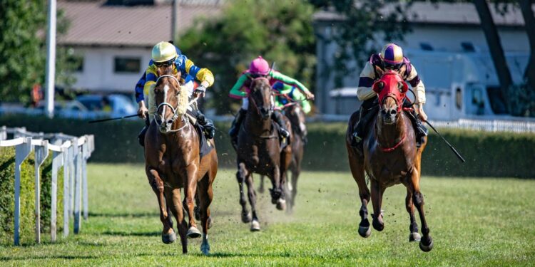 Key Factors Bettors Should Watch Ahead of the 2026 Kentucky Derby