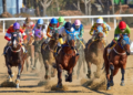 How Belmont Stakes Online Betting Adds to the Race Day Experience