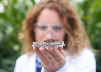 A Practical Guide to Medical Cannabis in the UK