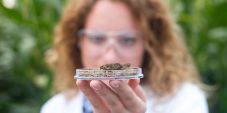 A Practical Guide to Medical Cannabis in the UK