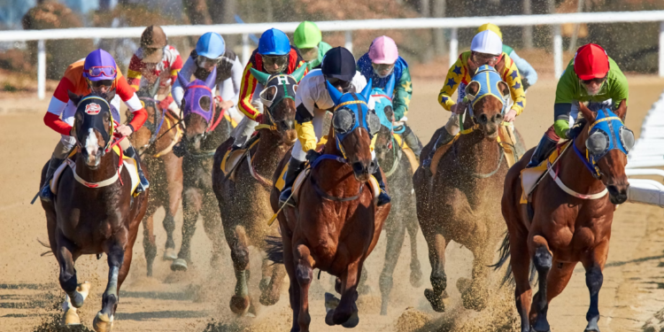 How Belmont Stakes Online Betting Adds to the Race Day Experience